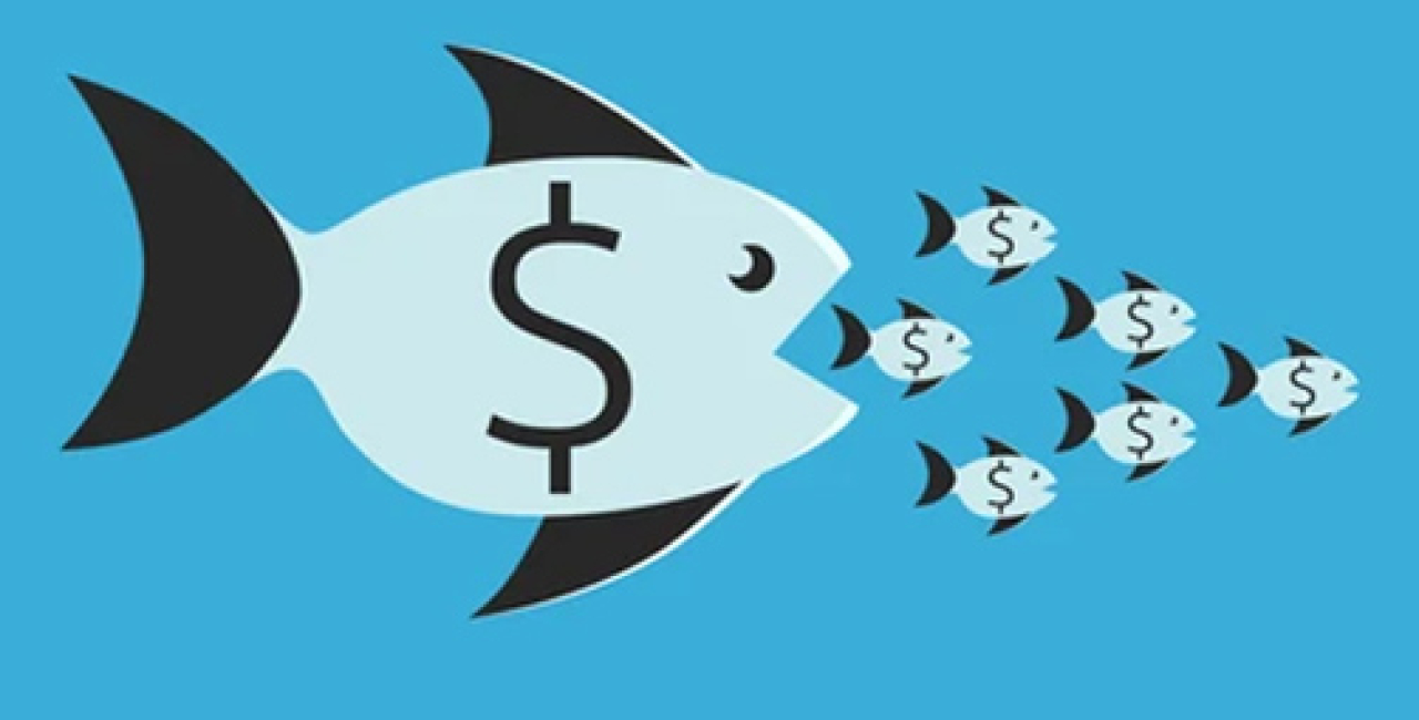 Why stock trading is not about Big Fish vs Small Fish