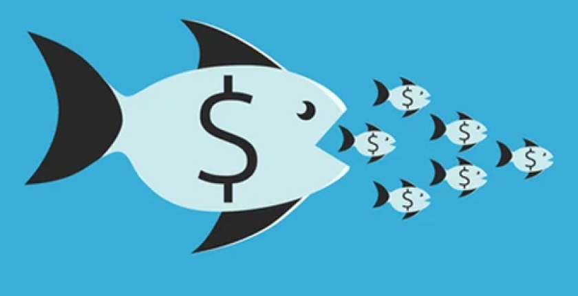 Why stock trading is not about Big Fish vs Small Fish